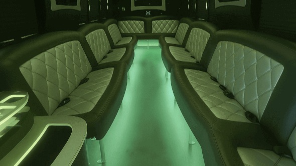 staten island 20 passenger party bus